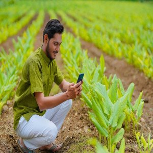 Digital Transformation