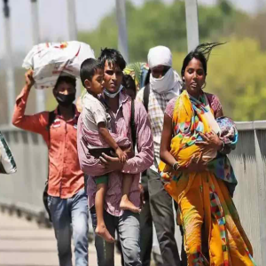 Migration & Urban Habitat